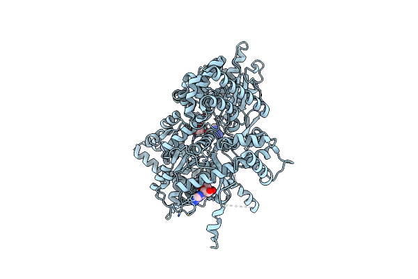 1Z8D image