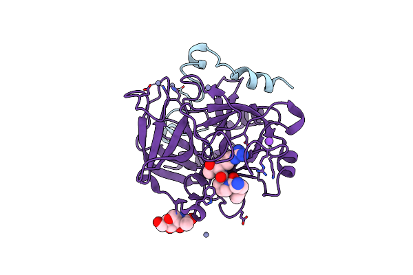 1Z8I image