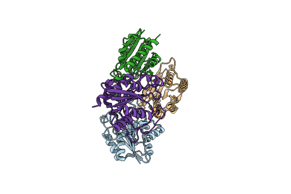 1Z8X image