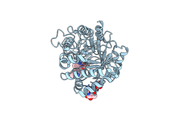 1ZBV image