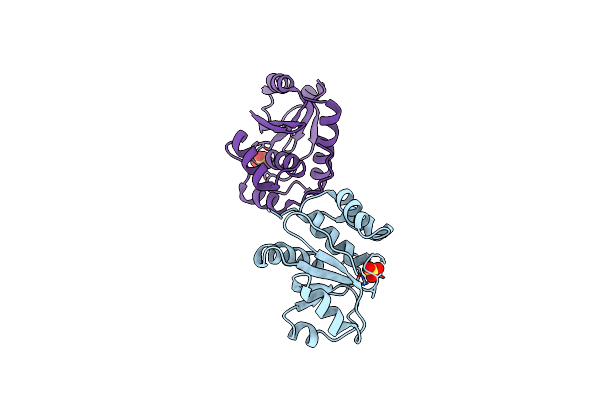 1ZCL image