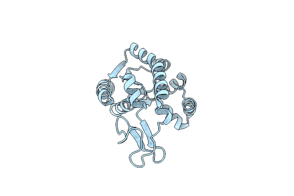 1ZD8 image