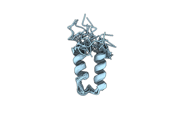 1ZDA image