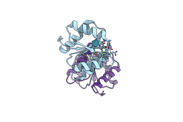1ZDM image