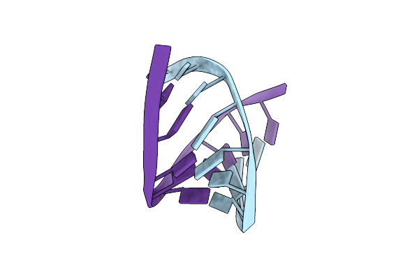 1ZEX image