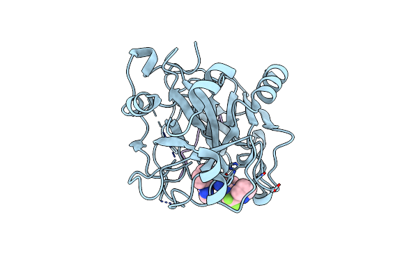 1ZGI image