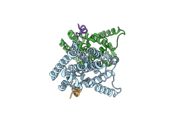 1ZH7 image