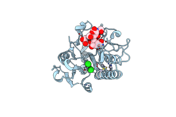 1ZJ3 image