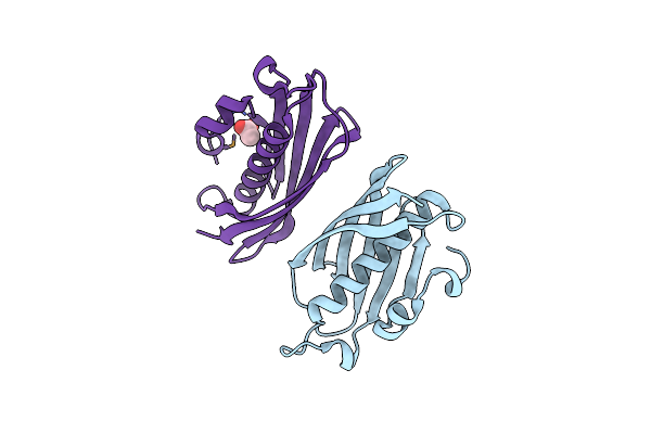 1ZKI image