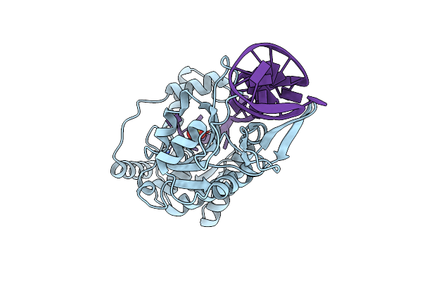 1ZM5 image