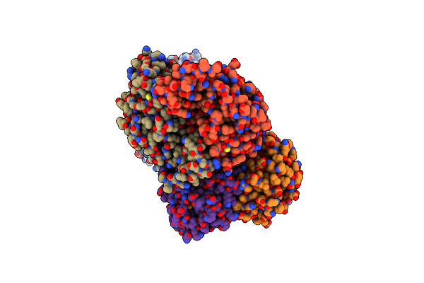 1ZMB image