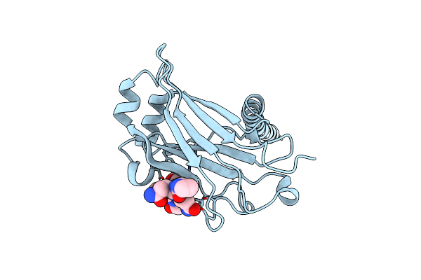 1ZMS image