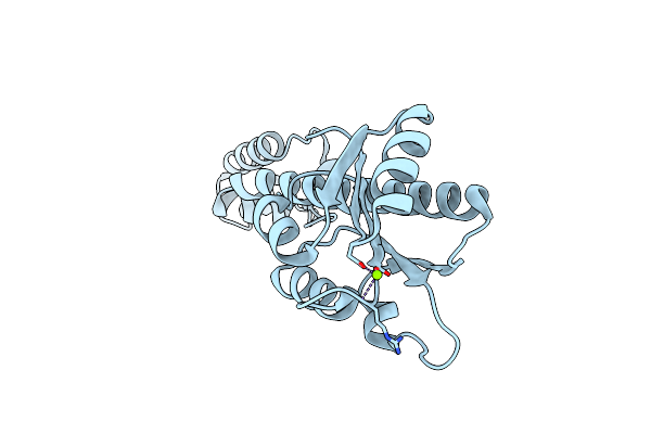1ZN2 image