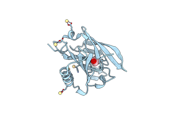 1ZNE image