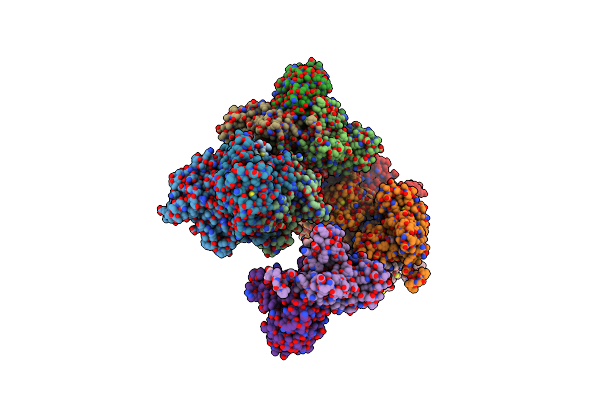 1ZO8 image