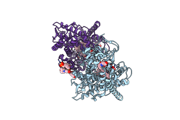 1ZOA image