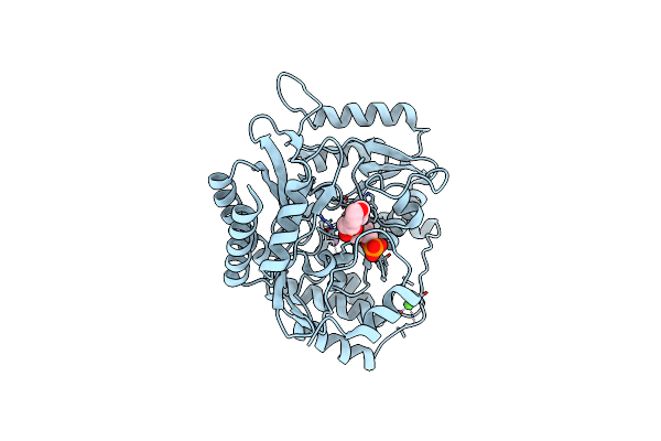 1ZOB image