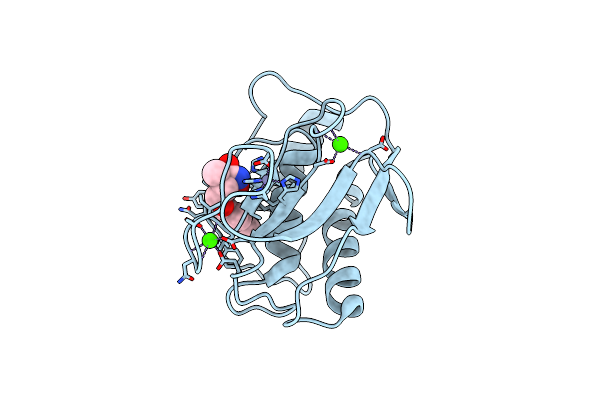 1ZP5 image