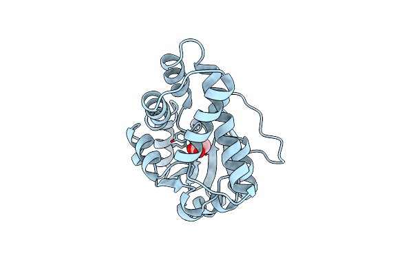 1ZRN image