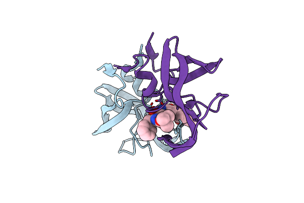 1ZSR image