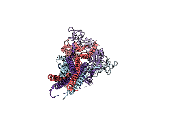 1ZTM image