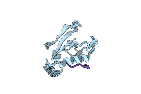1ZUB image