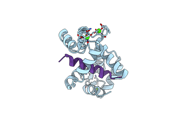 1ZUZ image