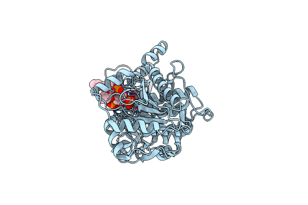 1ZVR image