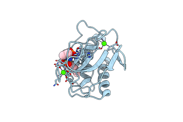 1ZVX image