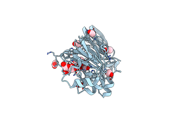 1ZX5 image