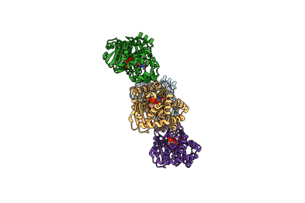 1ZYK image