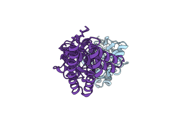 1ZYM image