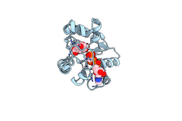 1ZYU image