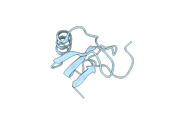 1ZYV image