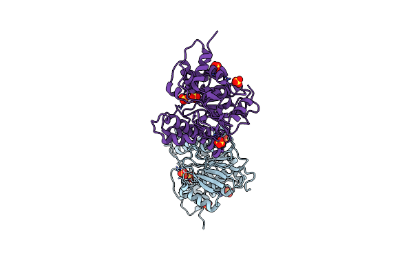 1ZZE image