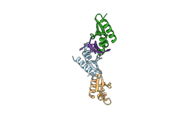 1ZZJ image
