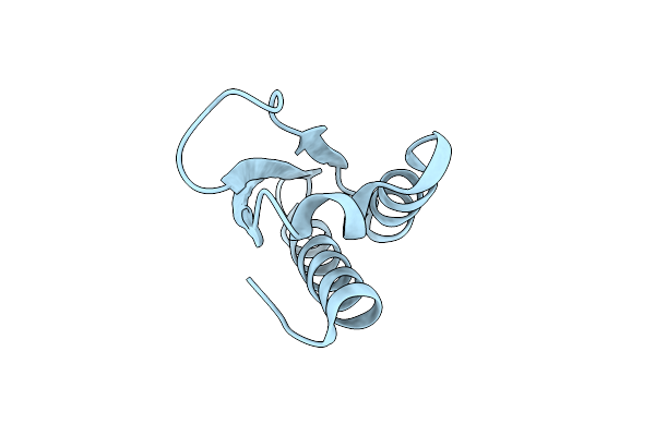 1ZZK image