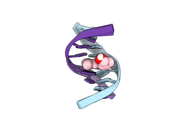 203D image