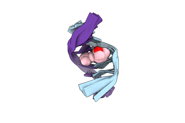 204D image