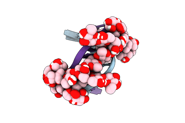 207D image