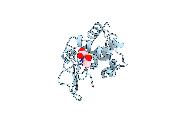 207L image