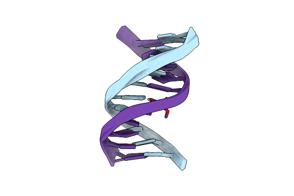 214D image
