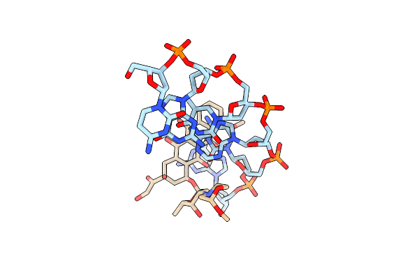 215D image
