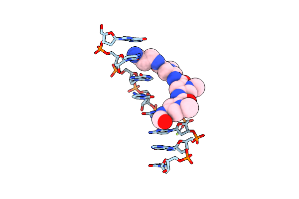 217D image