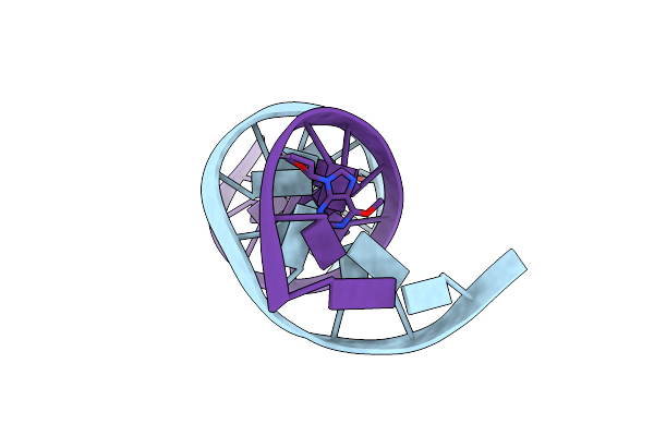 218D image