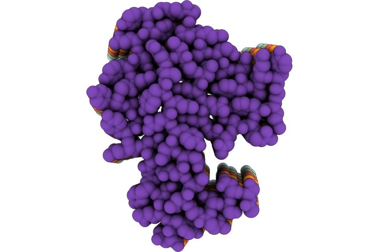 21BQ image