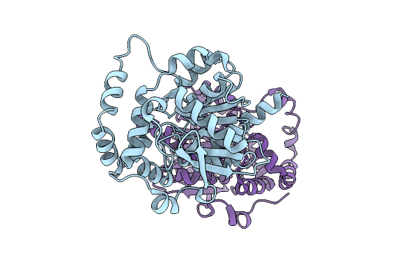 21DL image