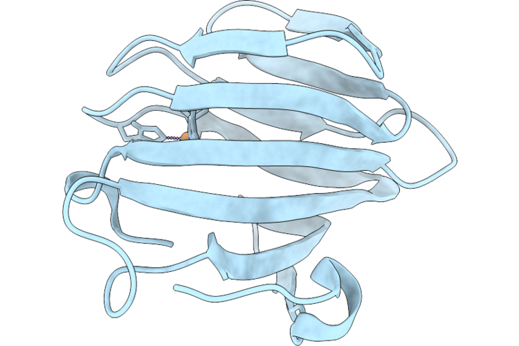 21EK image