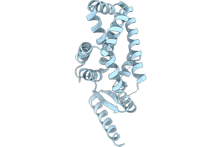 21GI image
