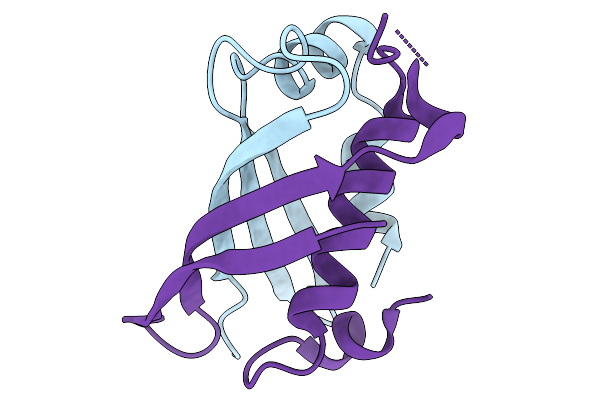 21IP image